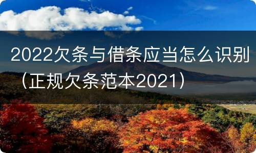 2022欠条与借条应当怎么识别（正规欠条范本2021）