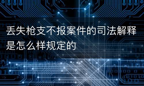 丢失枪支不报案件的司法解释是怎么样规定的