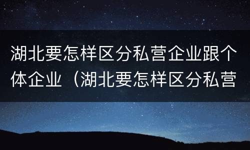 湖北要怎样区分私营企业跟个体企业（湖北要怎样区分私营企业跟个体企业呢）