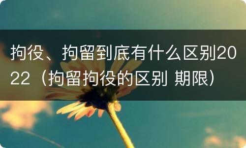 拘役、拘留到底有什么区别2022（拘留拘役的区别 期限）