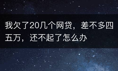 我欠了20几个网贷，差不多四五万，还不起了怎么办