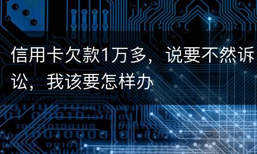 信用卡欠款1万多，说要不然诉讼，我该要怎样办