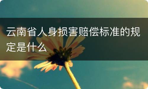 云南省人身损害赔偿标准的规定是什么