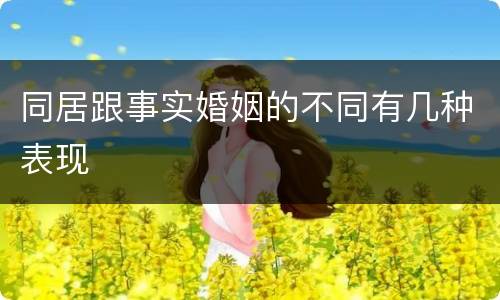 同居跟事实婚姻的不同有几种表现