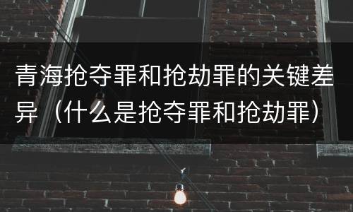 青海抢夺罪和抢劫罪的关键差异（什么是抢夺罪和抢劫罪）