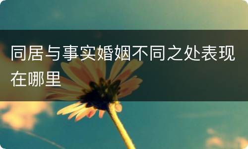 同居与事实婚姻不同之处表现在哪里