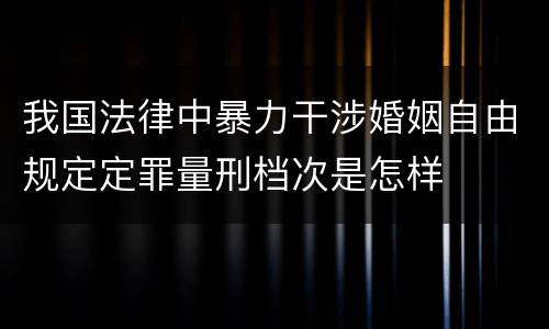 我国法律中暴力干涉婚姻自由规定定罪量刑档次是怎样