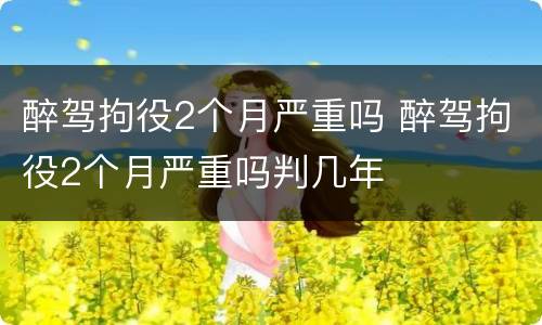 醉驾拘役2个月严重吗 醉驾拘役2个月严重吗判几年