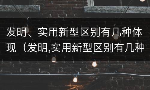 发明、实用新型区别有几种体现（发明,实用新型区别有几种体现形式）