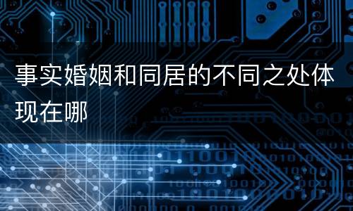 事实婚姻和同居的不同之处体现在哪