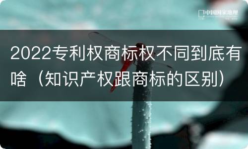 2022专利权商标权不同到底有啥（知识产权跟商标的区别）