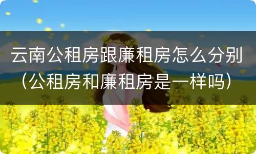 云南公租房跟廉租房怎么分别（公租房和廉租房是一样吗）