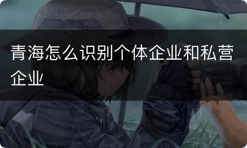 青海怎么识别个体企业和私营企业