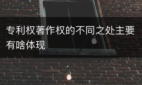 专利权著作权的不同之处主要有啥体现