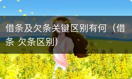 借条及欠条关键区别有何（借条 欠条区别）