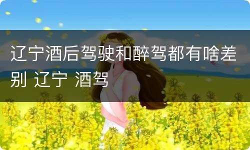 辽宁酒后驾驶和醉驾都有啥差别 辽宁 酒驾