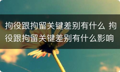 拘役跟拘留关键差别有什么 拘役跟拘留关键差别有什么影响