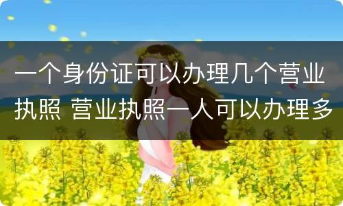 一个身份证可以办理几个营业执照 营业执照一人可以办理多少个