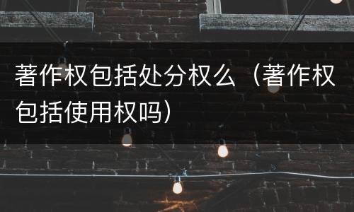 著作权包括处分权么（著作权包括使用权吗）