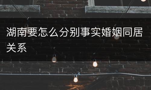 湖南要怎么分别事实婚姻同居关系