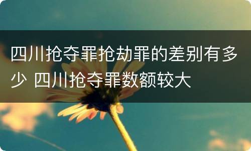 四川抢夺罪抢劫罪的差别有多少 四川抢夺罪数额较大