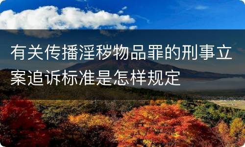 有关传播淫秽物品罪的刑事立案追诉标准是怎样规定
