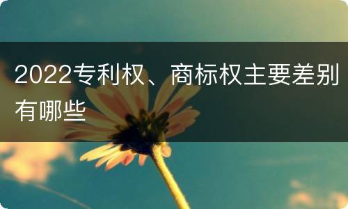 2022专利权、商标权主要差别有哪些