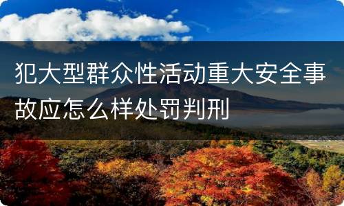 犯大型群众性活动重大安全事故应怎么样处罚判刑