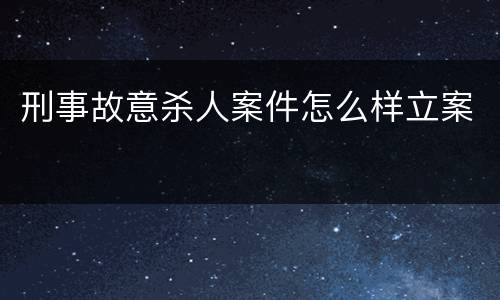 刑事故意杀人案件怎么样立案