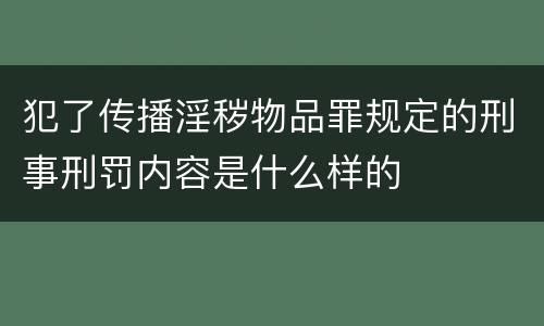 犯了传播淫秽物品罪规定的刑事刑罚内容是什么样的