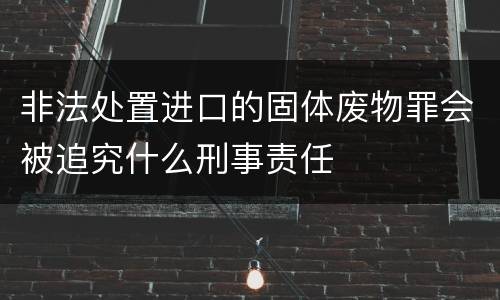 非法处置进口的固体废物罪会被追究什么刑事责任