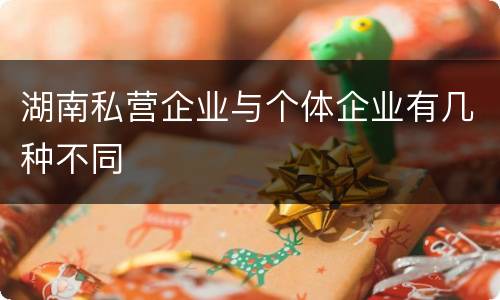湖南私营企业与个体企业有几种不同