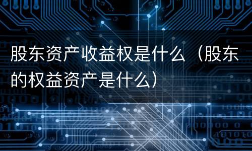 股东资产收益权是什么（股东的权益资产是什么）