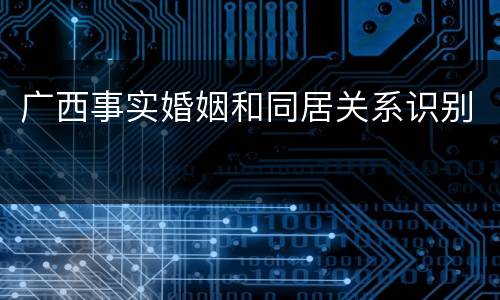 广西事实婚姻和同居关系识别