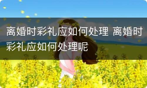 离婚时彩礼应如何处理 离婚时彩礼应如何处理呢