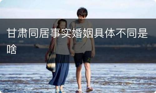 甘肃同居事实婚姻具体不同是啥