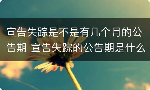 宣告失踪是不是有几个月的公告期 宣告失踪的公告期是什么意思