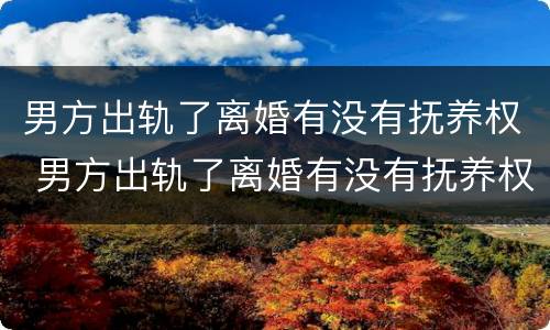 男方出轨了离婚有没有抚养权 男方出轨了离婚有没有抚养权啊