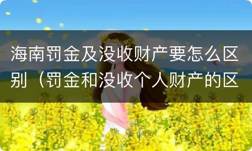 海南罚金及没收财产要怎么区别（罚金和没收个人财产的区别）