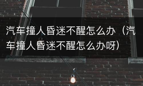 汽车撞人昏迷不醒怎么办（汽车撞人昏迷不醒怎么办呀）