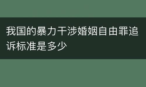 我国的暴力干涉婚姻自由罪追诉标准是多少