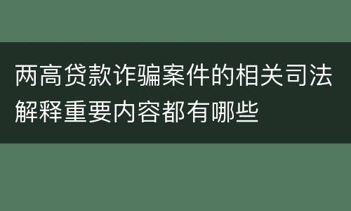 两高贷款诈骗案件的相关司法解释重要内容都有哪些