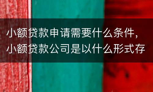 小额贷款申请需要什么条件，小额贷款公司是以什么形式存在的