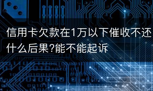 信用卡欠款在1万以下催收不还什么后果?能不能起诉