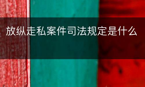 放纵走私案件司法规定是什么
