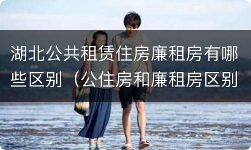 湖北公共租赁住房廉租房有哪些区别（公住房和廉租房区别）
