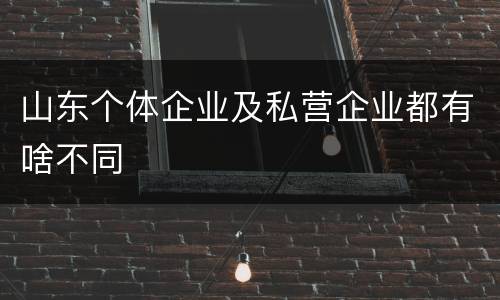 山东个体企业及私营企业都有啥不同