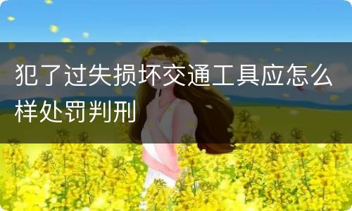 犯了过失损坏交通工具应怎么样处罚判刑