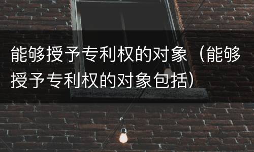 能够授予专利权的对象（能够授予专利权的对象包括）