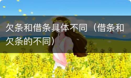 欠条和借条具体不同（借条和欠条的不同）